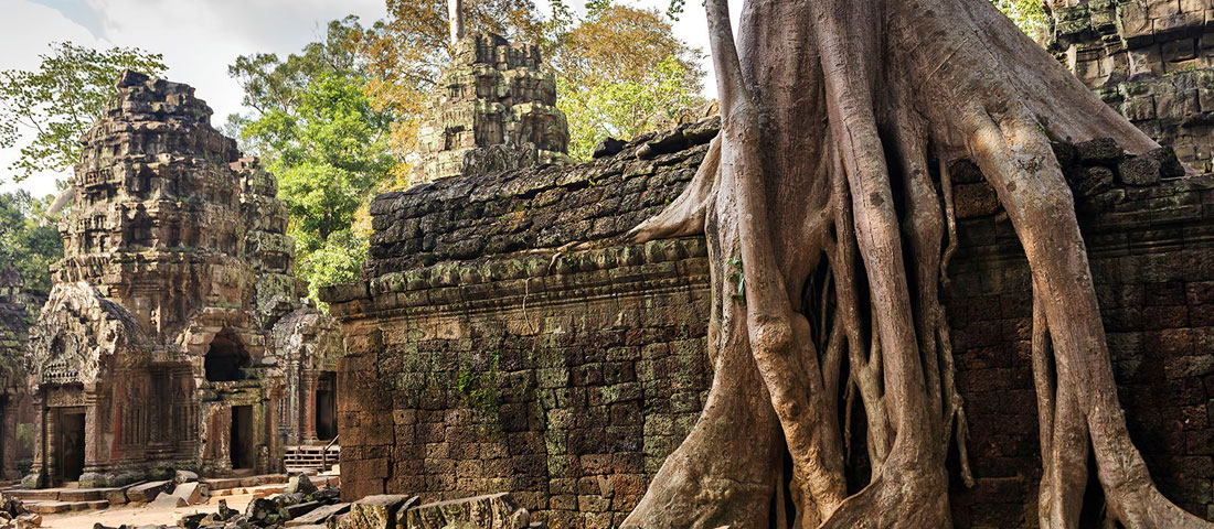 Angkor Tuk Tuk Service Travel