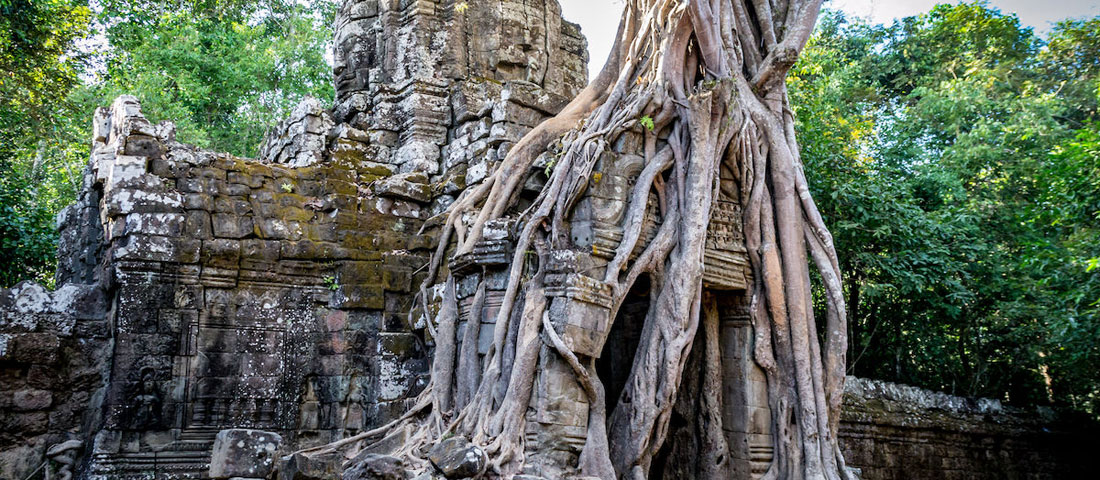 Angkor Tuk Tuk Service Travel