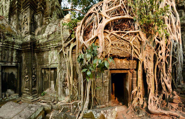 Ta Prohm Temple